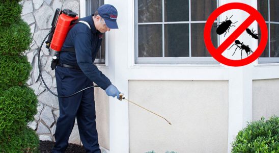 Çeşme Dezenfeksiyon böcek ilaçlama ve haşere kontrolü — ilaclama-tr.com